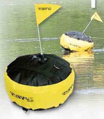 Black Cat - img17208392218658.jpeg